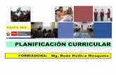 Planificacion Curricular(2)