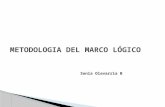 Metodologia Del Marco Logico
