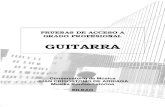 Guitarra 2013