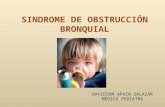 05 080415 Sindrome de Obstrucción Bronquial Aguda.