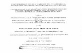 Limitaciones al derecho de huelga Tesis.pdf