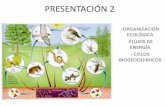 Presentacion Organizacion Ecologica y Flujos de Energia