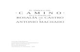 El símbolo del camino en la poesía de Rosalía de Castro y Antonio Machado