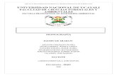Universidad Nacional de Ucayali Monografía 001