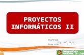 Proyectos Informaticos