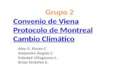 Presentación Protocolo de Montreal