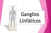 GANGLIOS LINFATICOS CUELLO