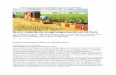 Breve HBreve Historia de La Agroexportación en El Perúistoria de La Agroexportación en El Perú