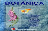 2004 Botanica Izco