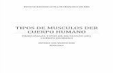 TIPOS DE MUSCULOS 11.pdf