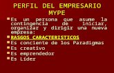 Perfil Del Empresario Mype 2-2015