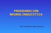 La Programacion Neurolinguistica Pnl 24639 (1)