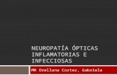 Neuropatía Ópticas Inflamatorias e Infecciosas