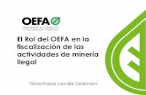 9. Rol Del OEFA en La Minería Ilegal