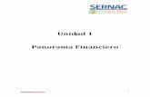 Unidad 1 Panorama Financiero VF.pdf