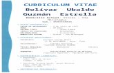 Curriculum Bolívar Guzman