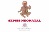 Sepsis Neonatal.pdf