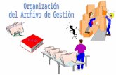 1. Organizacion Archivos de Gestion (Word)