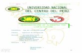 INGENIERIA DE ALIMENTOS III-trabajo.doc