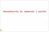 Presupuesto de Ingresos y Gastos 1225689605158822 8