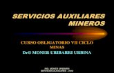 149582011 Servicios Auxiliares Mineros Power Ppt