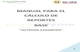 MANUAL CALCULO DE REPORTES BASE.pdf