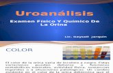 Uroanalis Examen Fisico y Qx de La Orina Clase II