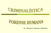 CLASE 15-CRIMINALISTICA-FORENSE.ppt