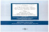 Manual Derecho Constitucional Vol II.pdf