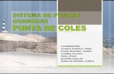 Punta de Coles