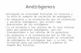 Andrógenos Present 7