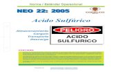 NEO-22 Acido Sulfúrico – Almacenamiento – Carguío – Transporte – Descarga.