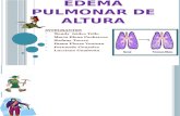 Edema Pulmonar de Altura Final(3)