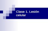 Clase 1. Lesión celular