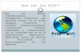 Presentación NIIF y NIIF Para PYMES