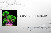 MICOSIS PULMONAR-INFECTOLOGÍA
