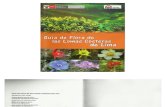 Flora Lomas Costeras de Lima
