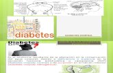 Diabetes Insipida y SIADTH