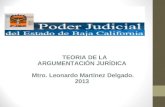 Panorama Gral de La Argumentacion Juridica 9 09 2013 (1)