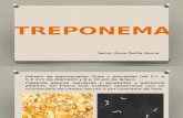 Treponema y Mycobacterium