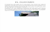 El Guayabo