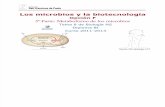 GTP_T8.Microbiología _(F5 Metabolismo Microbios) 2011-13