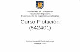 Capitulo_7-Flotacion_columnar (1)