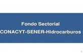 Presentacion SENER Hidrocarburos
