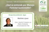 Análisis Ambiental, Agua en el MFS - Matilde López