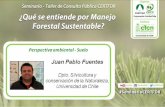 Análisis Ambiental, Suelo en el MFS - Juan Pablo Fuentes