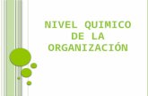 1.-NIVEL QUIMICO DE LA ORGANIZACIÓN (2).pptx