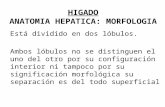 Higado Doc.mejia -Cirugia