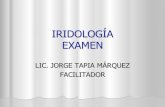 9 Examen Iridología 2008