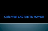 Ciclo vital LACTANTE MAYOR.pdf